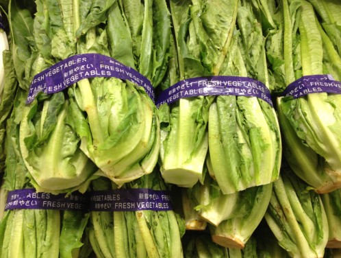 內(nèi)蒙古耗材