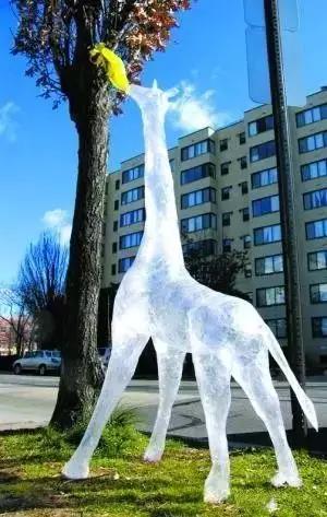 透明的封膠帶雕塑 透明的封膠帶雕塑